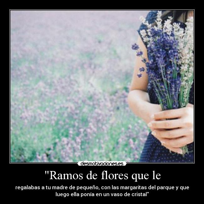 Ramos de flores que le - regalabas a tu madre de pequeño, con las margaritas del parque y que
luego ella ponía en un vaso de cristal
