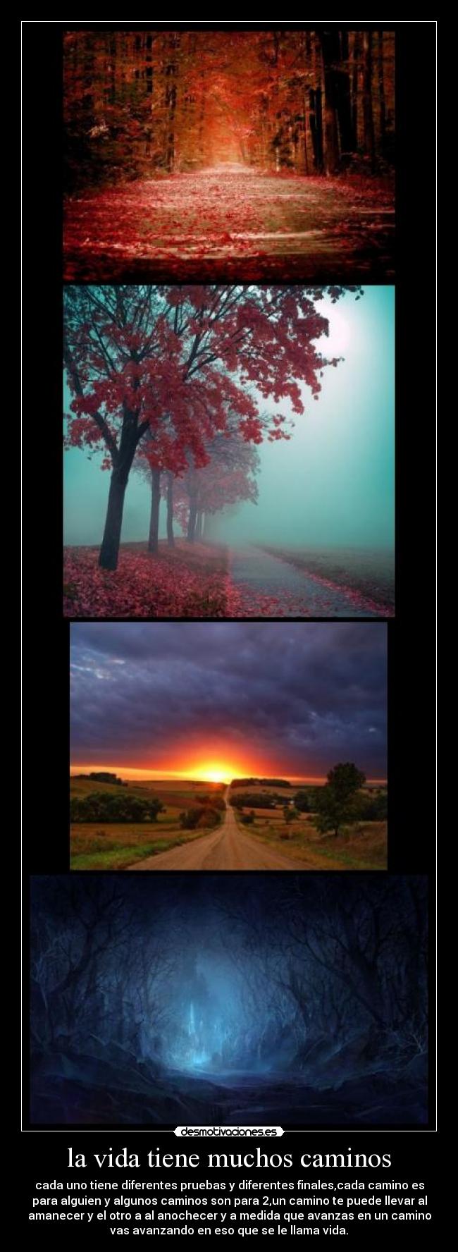 carteles vida caminos saku chan quiero morenita97 pongas celosa que tamben kero mucho desmotivaciones