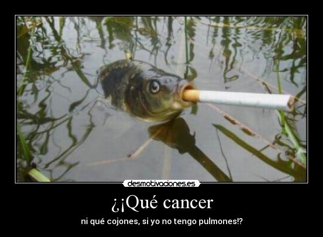 ¿¡Qué cancer - 