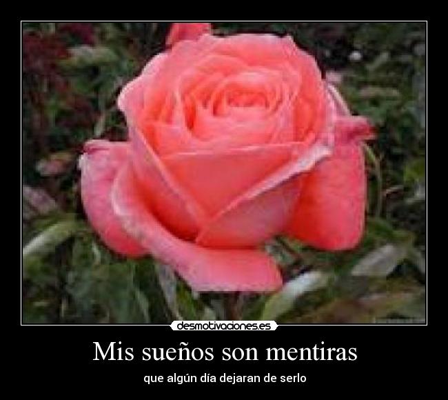 Mis sueños son mentiras -