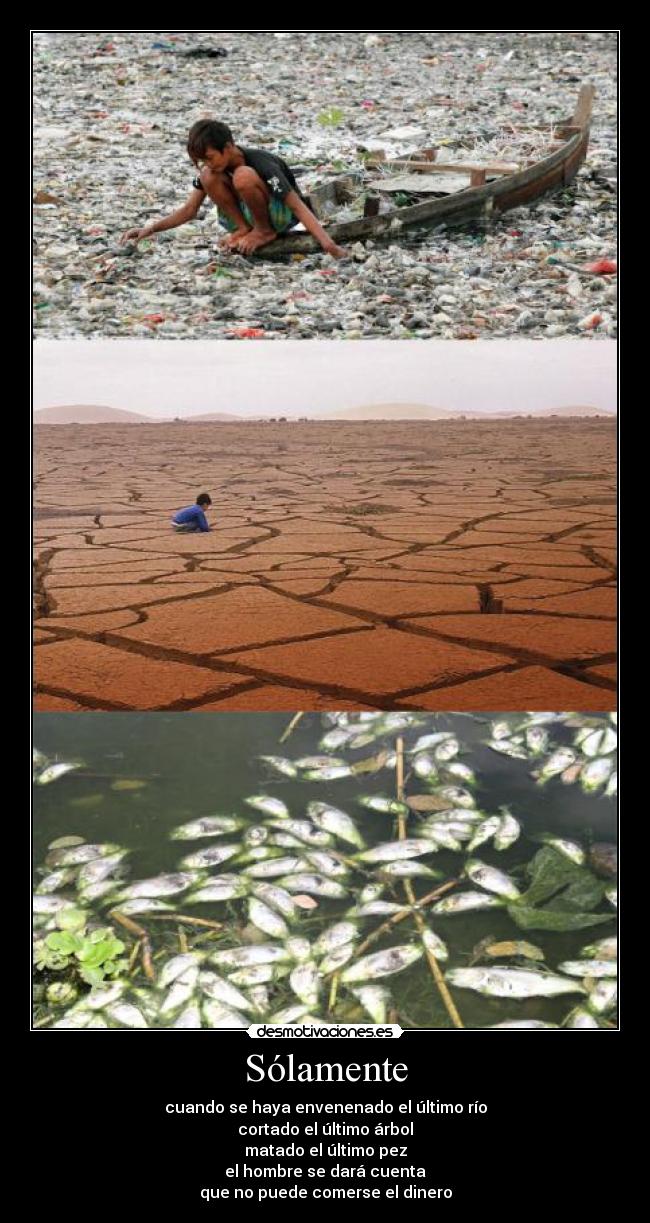 Sólamente - cuando se haya envenenado el último río
cortado el último árbol
matado el último pez
el hombre se dará cuenta
que no puede comerse el dinero