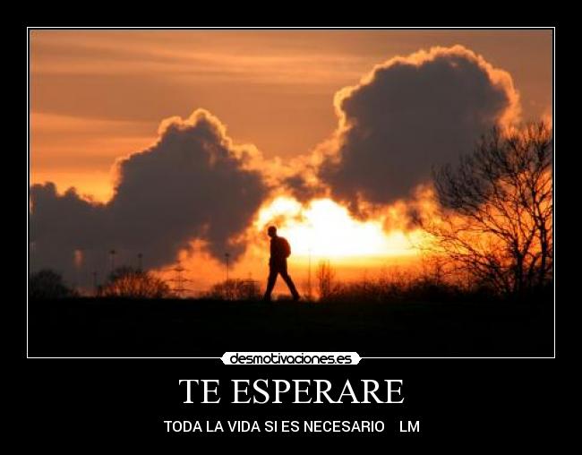 TE ESPERARE - TODA LA VIDA SI ES NECESARIO LM