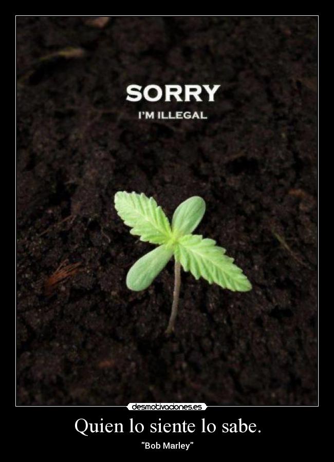 carteles elnene505 desmotivaciones