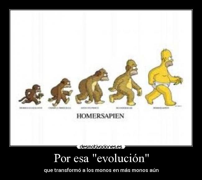 Por esa evolución - que transformó a los monos en más monos aún