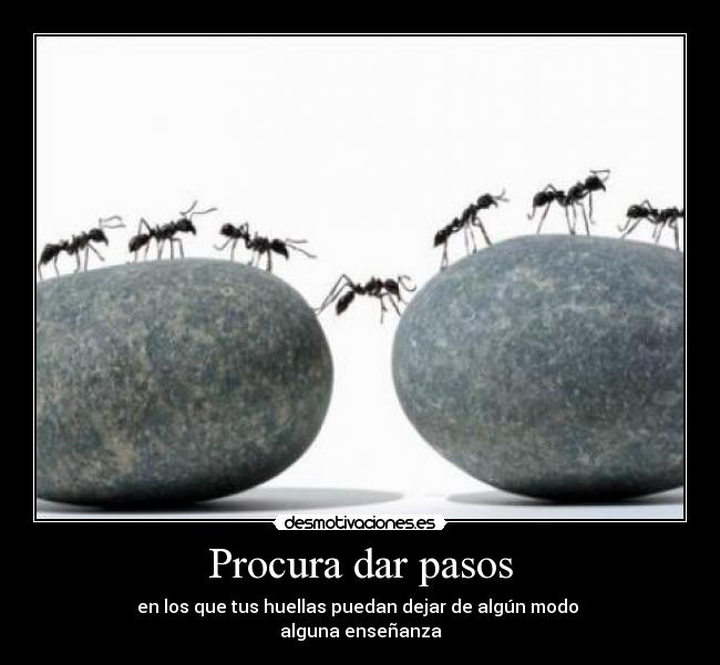 Procura dar pasos - en los que tus huellas puedan dejar de algún modo
alguna enseñanza