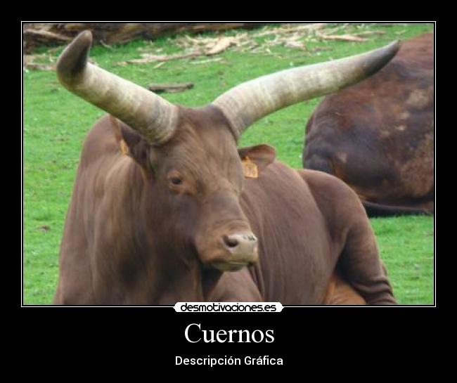 Cuernos - 