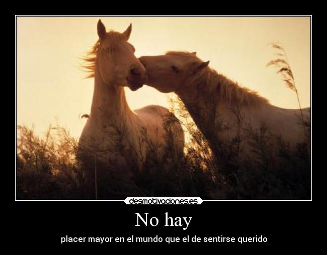 No hay - 