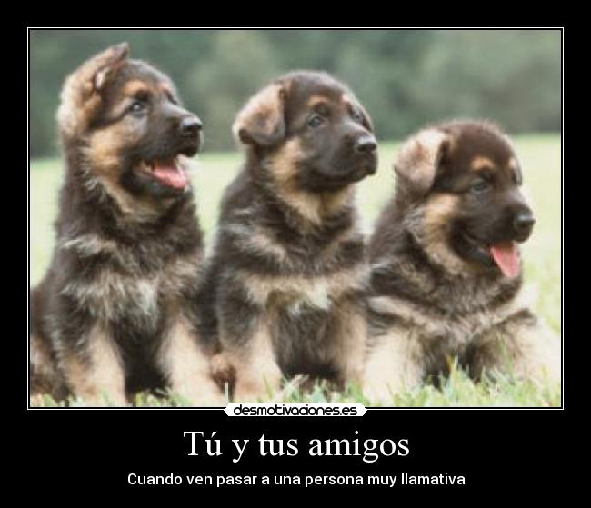 Tú y tus amigos -