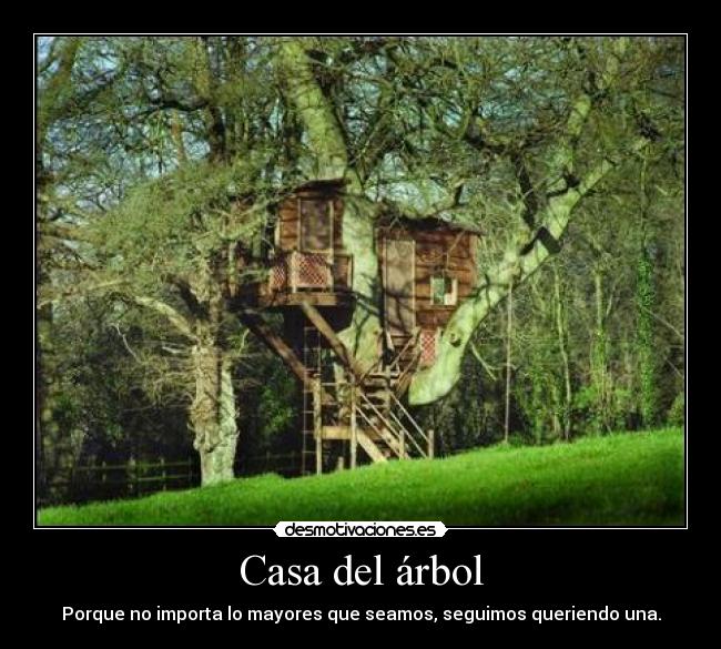 Casa del árbol -
