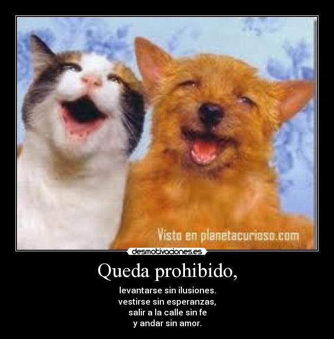 carteles queda prohibido desmotivaciones