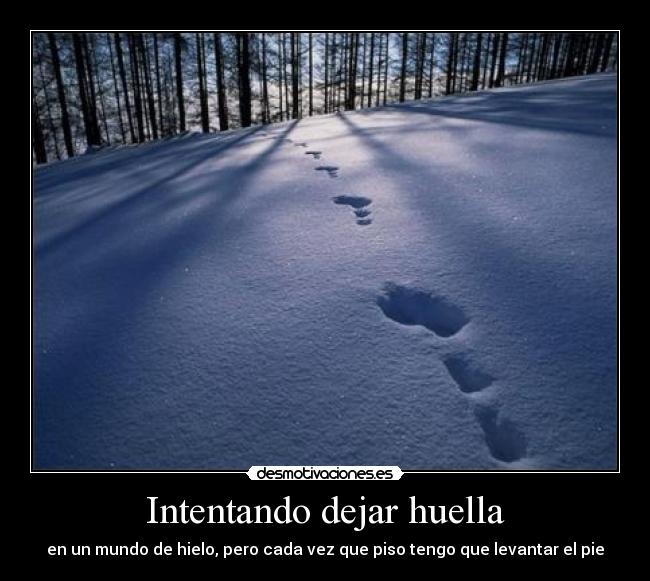 carteles huellas nieve quiennosabes desmotivaciones