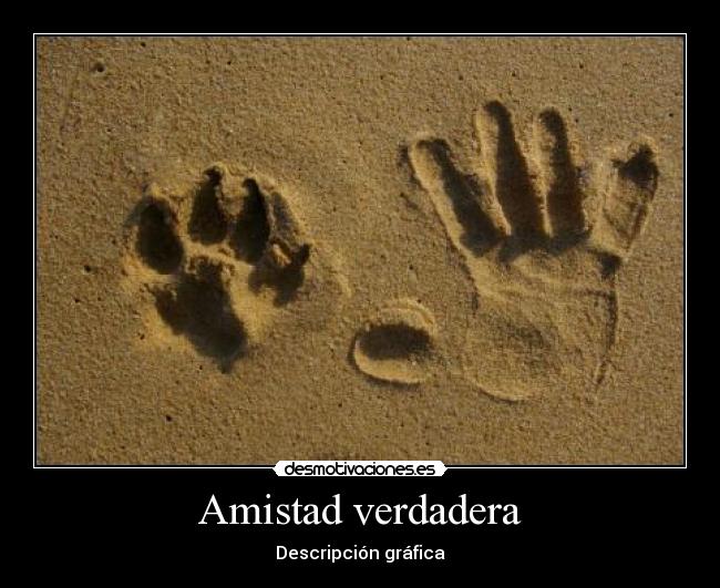 Amistad verdadera -