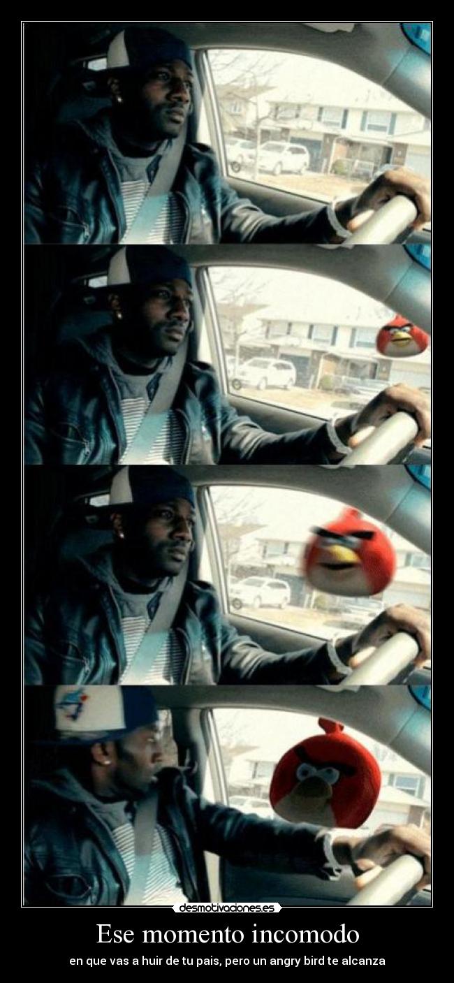Ese momento incomodo - en que vas a huir de tu pais, pero un angry bird te alcanza