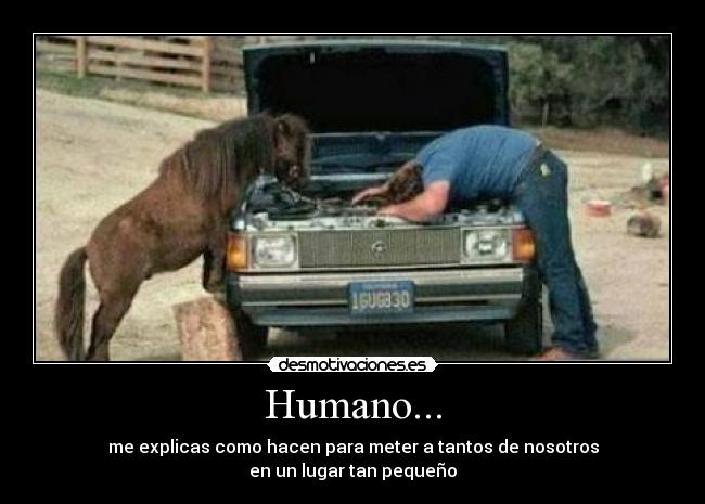 Humano... - 