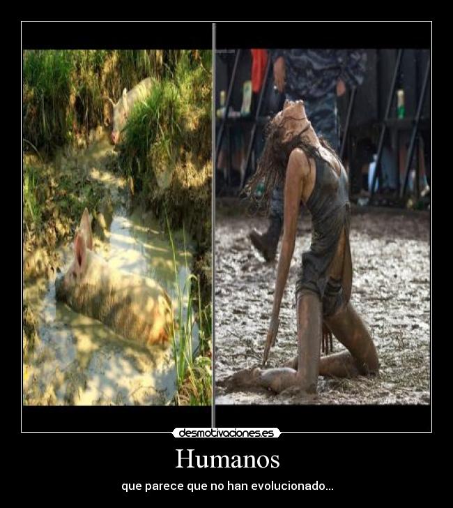 Humanos - que parece que no han evolucionado...