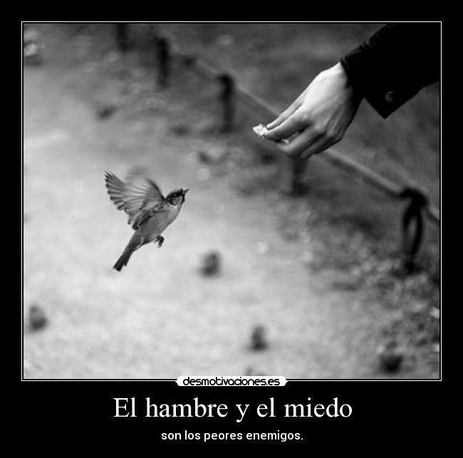 El hambre y el miedo - son los peores enemigos.