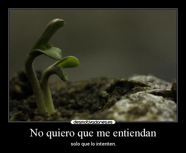 No quiero que me entiendan - 