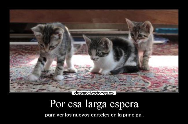 Por esa larga espera - para ver los nuevos carteles en la principal.