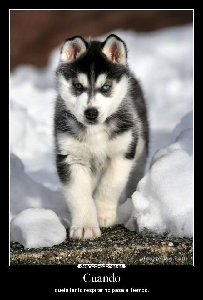 Cuando - duele tanto respirar no pasa el tiempo.