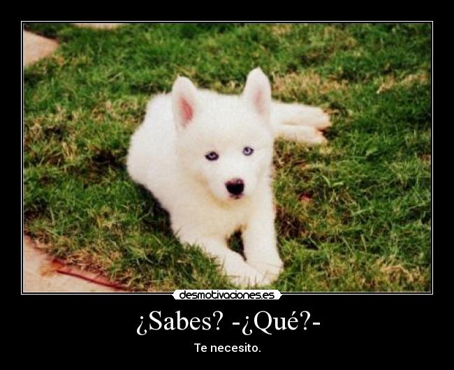 ¿Sabes? -¿Qué?- -