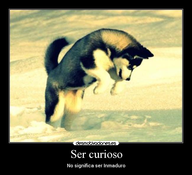 Ser curioso - 