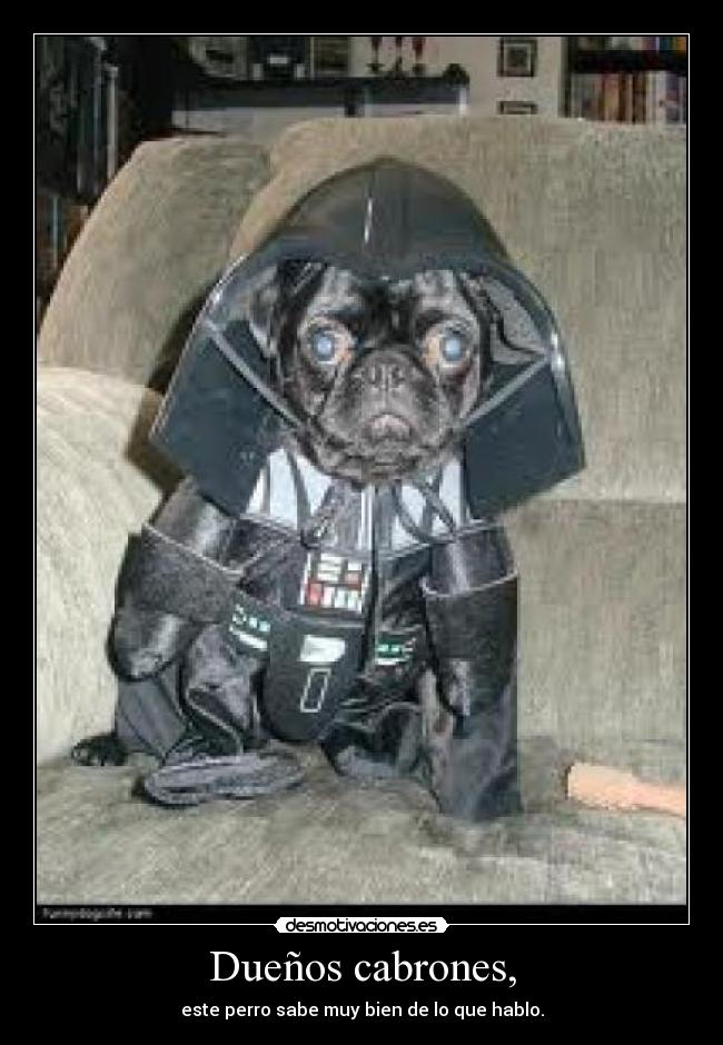 carteles mariatururu desmotivaciones