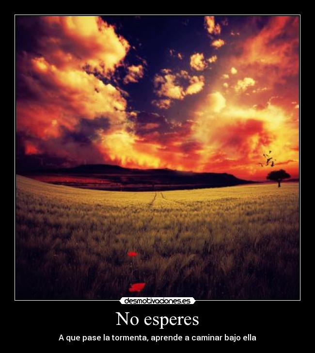 No esperes - A que pase la tormenta, aprende a caminar bajo ella