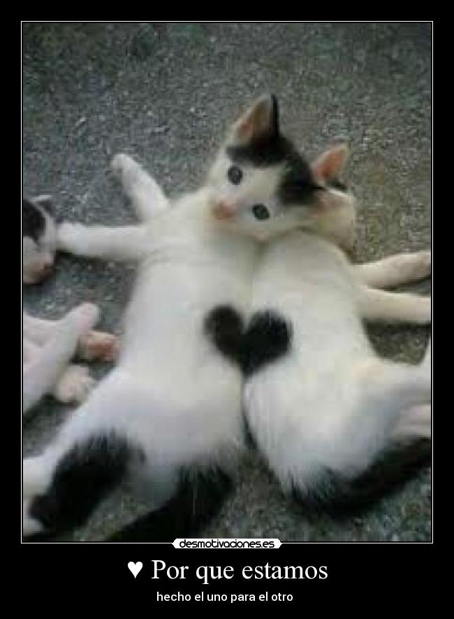 ♥ Por que estamos - hecho el uno para el otro ♥