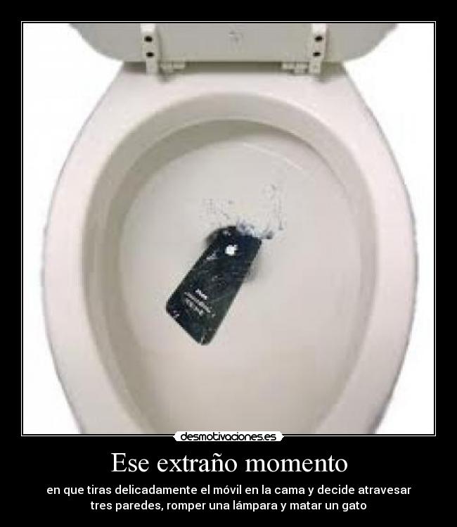 Ese extraño momento - en que tiras delicadamente el móvil en la cama y decide atravesar
tres paredes, romper una lámpara y matar un gato
