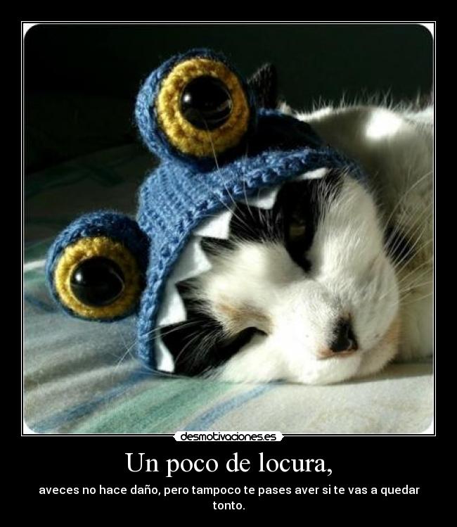 Un poco de locura, - aveces no hace daño, pero tampoco te pases aver si te vas a quedar tonto.