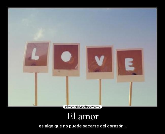 El amor - 