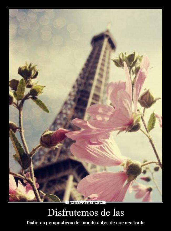 Disfrutemos de las - 