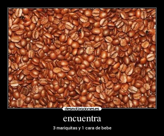 encuentra - 3 mariquitas y 1 cara de bebe