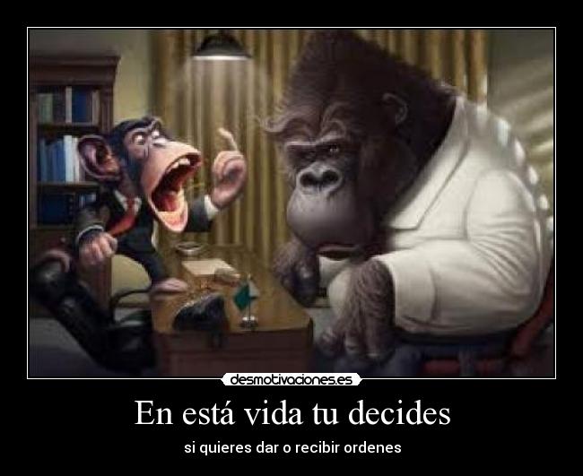 En está vida tu decides - si quieres dar o recibir ordenes