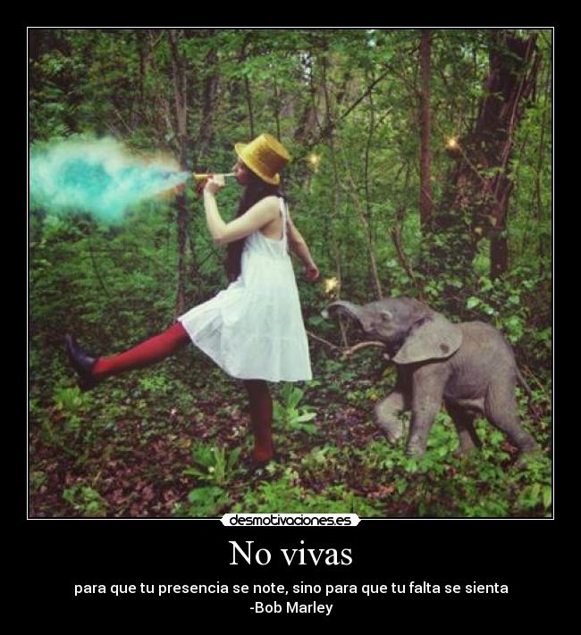 No vivas - 
