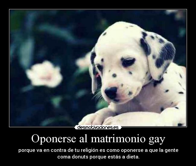 Oponerse al matrimonio gay - porque va en contra de tu religión es como oponerse a que la gente
coma donuts porque estás a dieta.