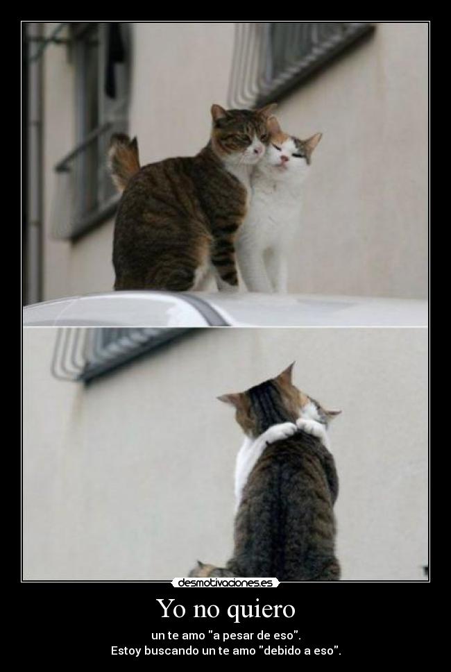 Yo no quiero - un te amo a pesar de eso.
Estoy buscando un te amo debido a eso.
