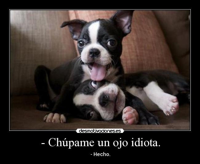 carteles meaburro desmotivaciones