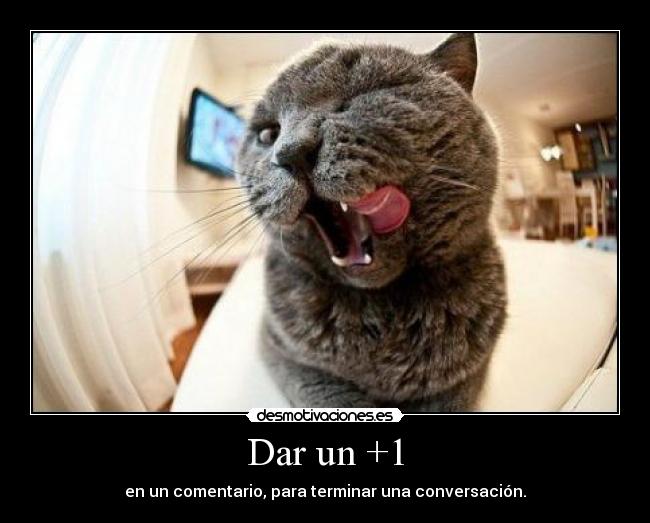 carteles asdfkge desmotivaciones