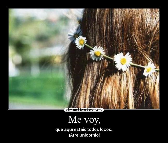 Me voy, - que aquí estáis todos locos.
¡Arre unicornio!