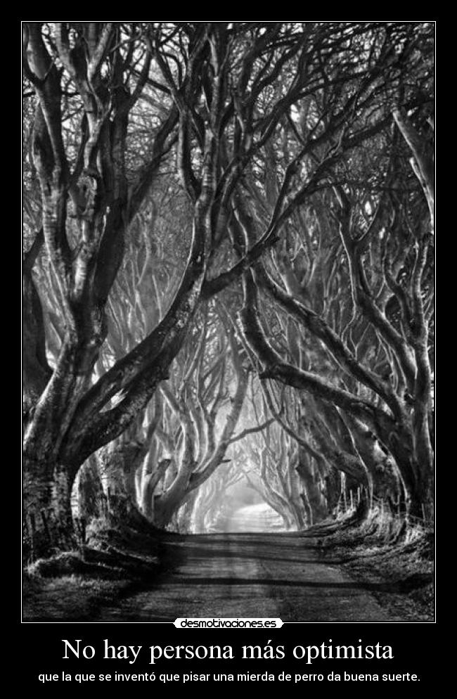 No hay persona más optimista -