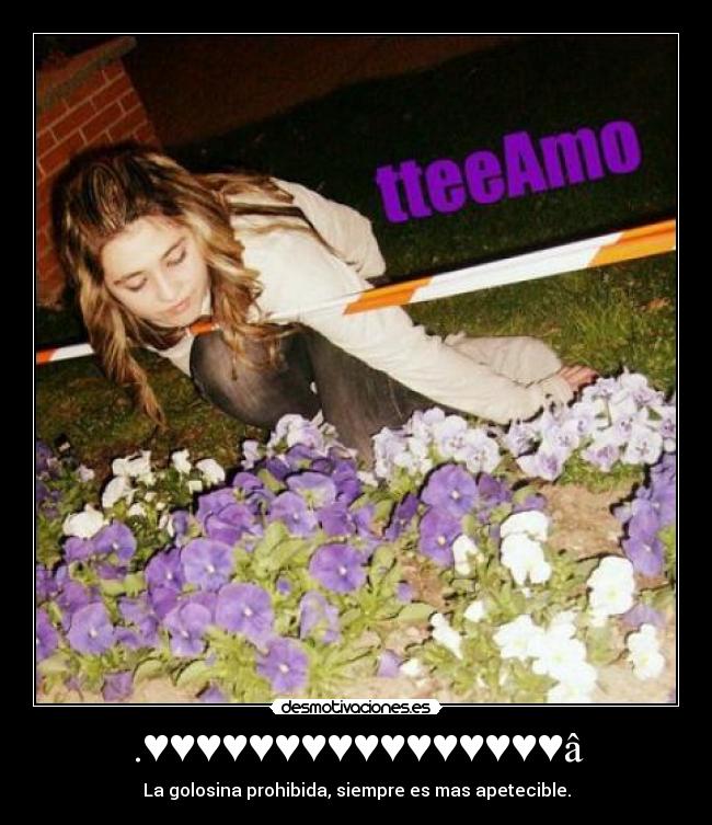 .♥♥♥♥♥♥♥♥♥♥♥♥♥♥♥♥â -