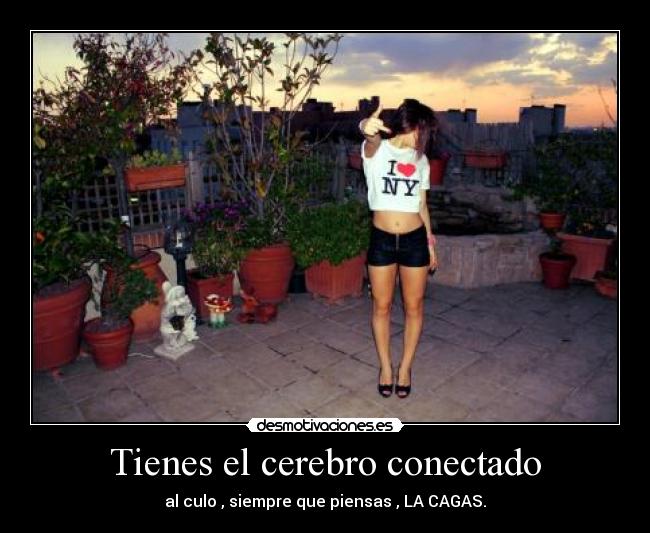 Tienes el cerebro conectado -