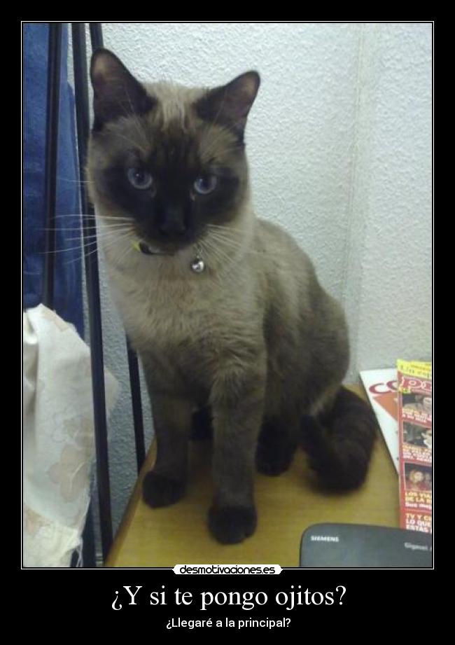 ¿Y si te pongo ojitos? - 