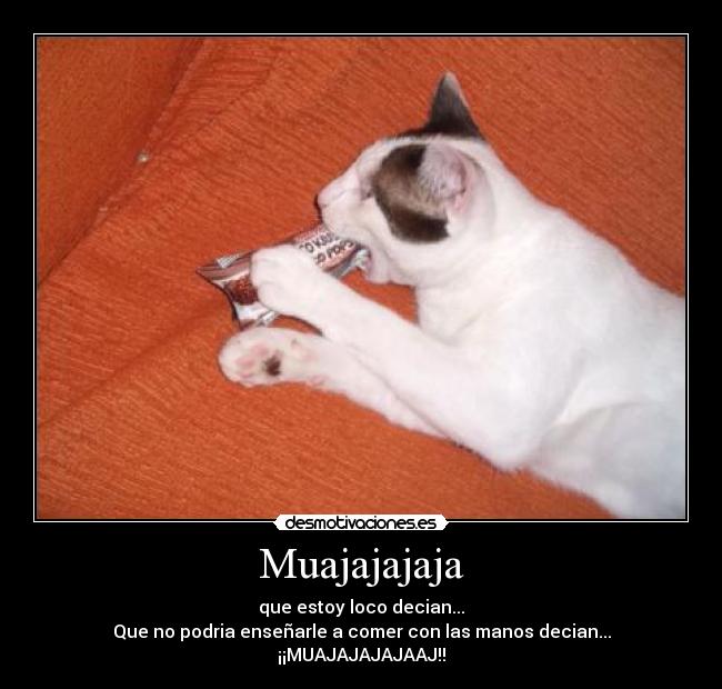 carteles gatosenano superdotado desmotivaciones