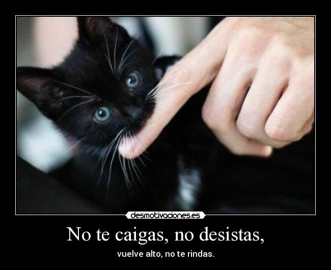 No te caigas, no desistas, - vuelve alto, no te rindas.