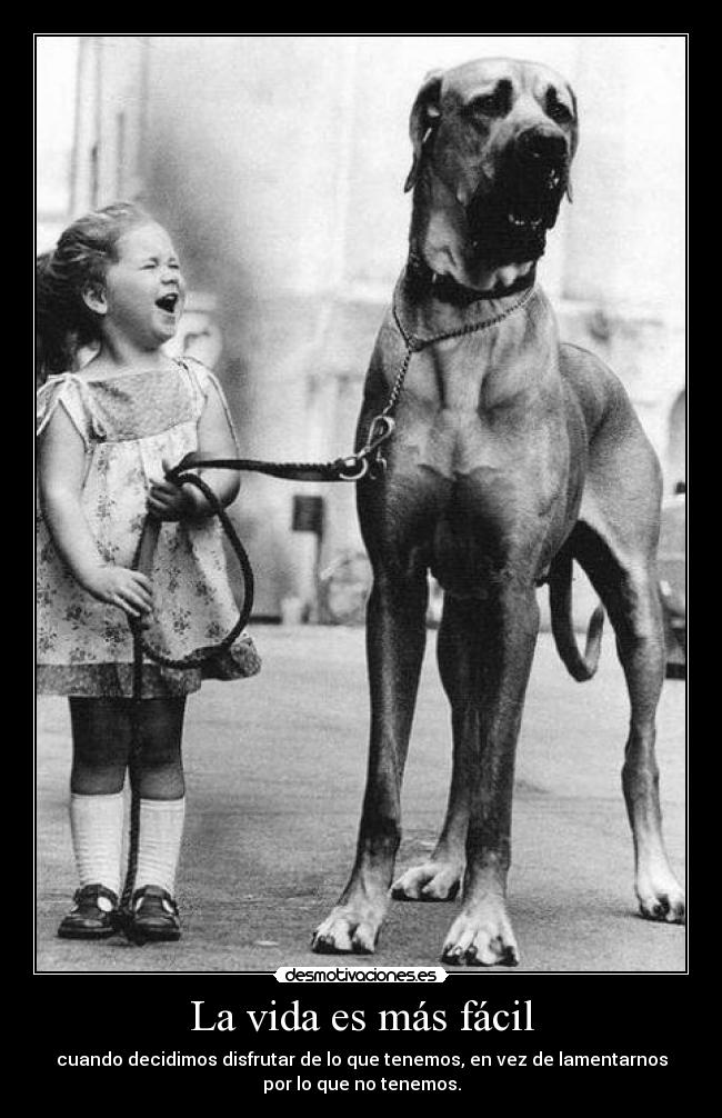 La vida es más fácil -