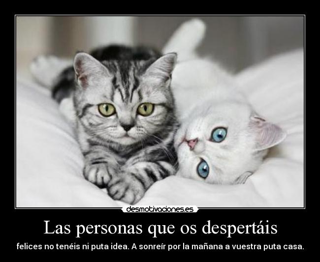 Las personas que os despertáis -