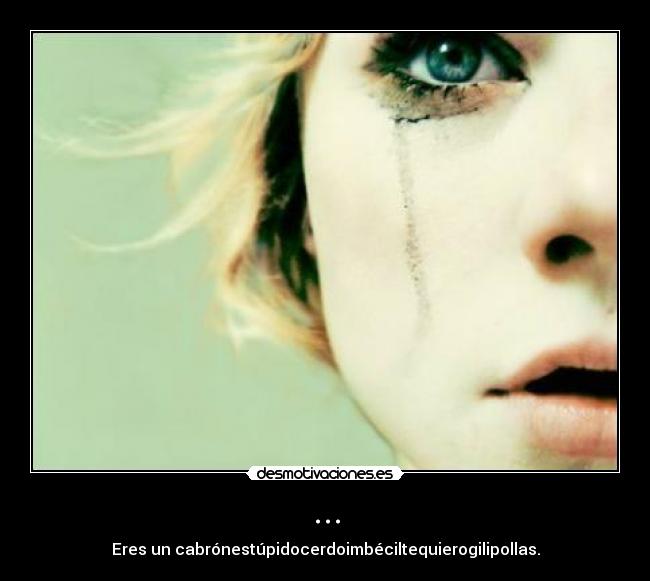 ... - Eres un cabrónestúpidocerdoimbéciltequierogilipollas.