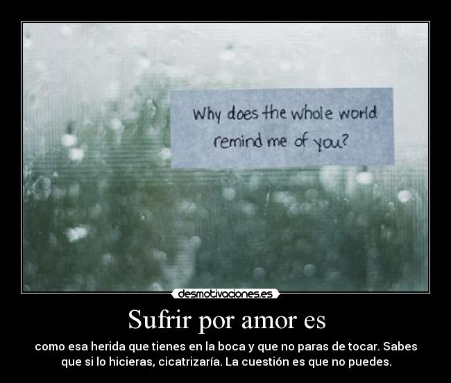 Sufrir por amor es - como esa herida que tienes en la boca y que no paras de tocar. Sabes
que si lo hicieras, cicatrizaría. La cuestión es que no puedes.